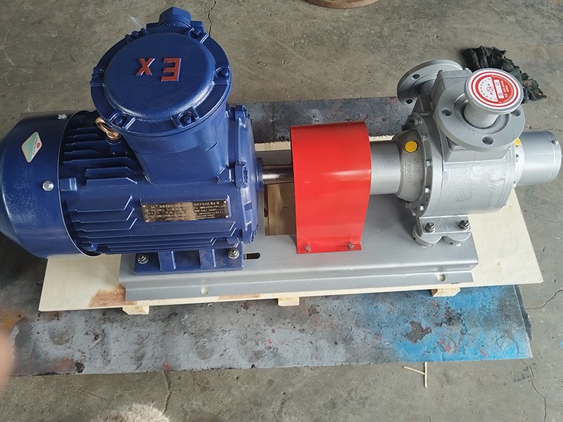 雙端密封容積泵